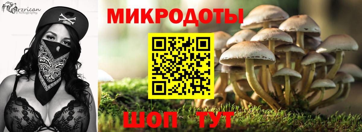 Усть-Джегута  Псилоцибиновые грибы Psilocybe  Вход с VPN 